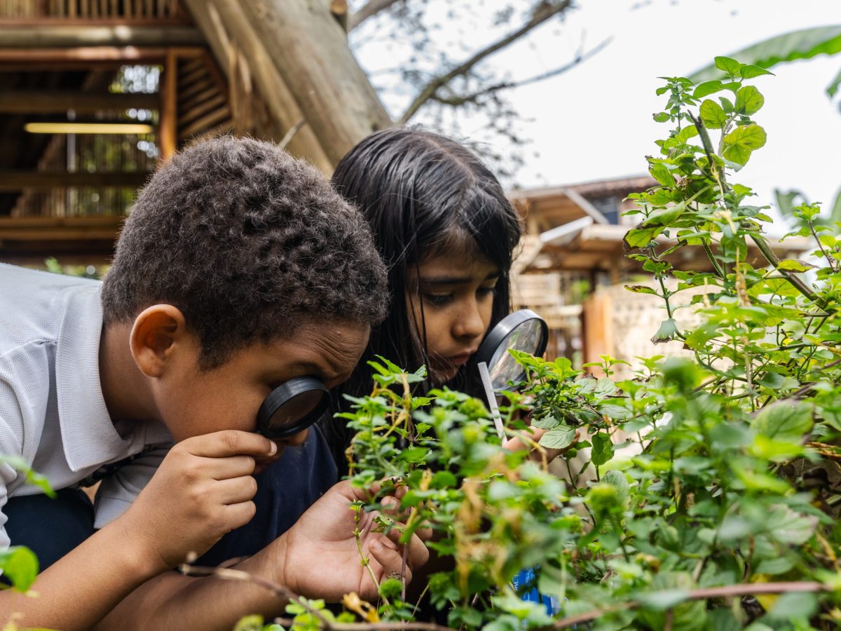 When your classroom is a garden